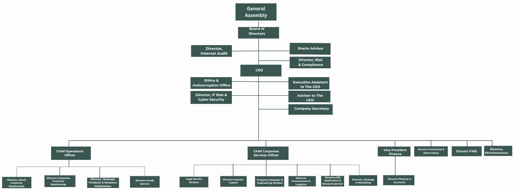 Company Organizational Structure