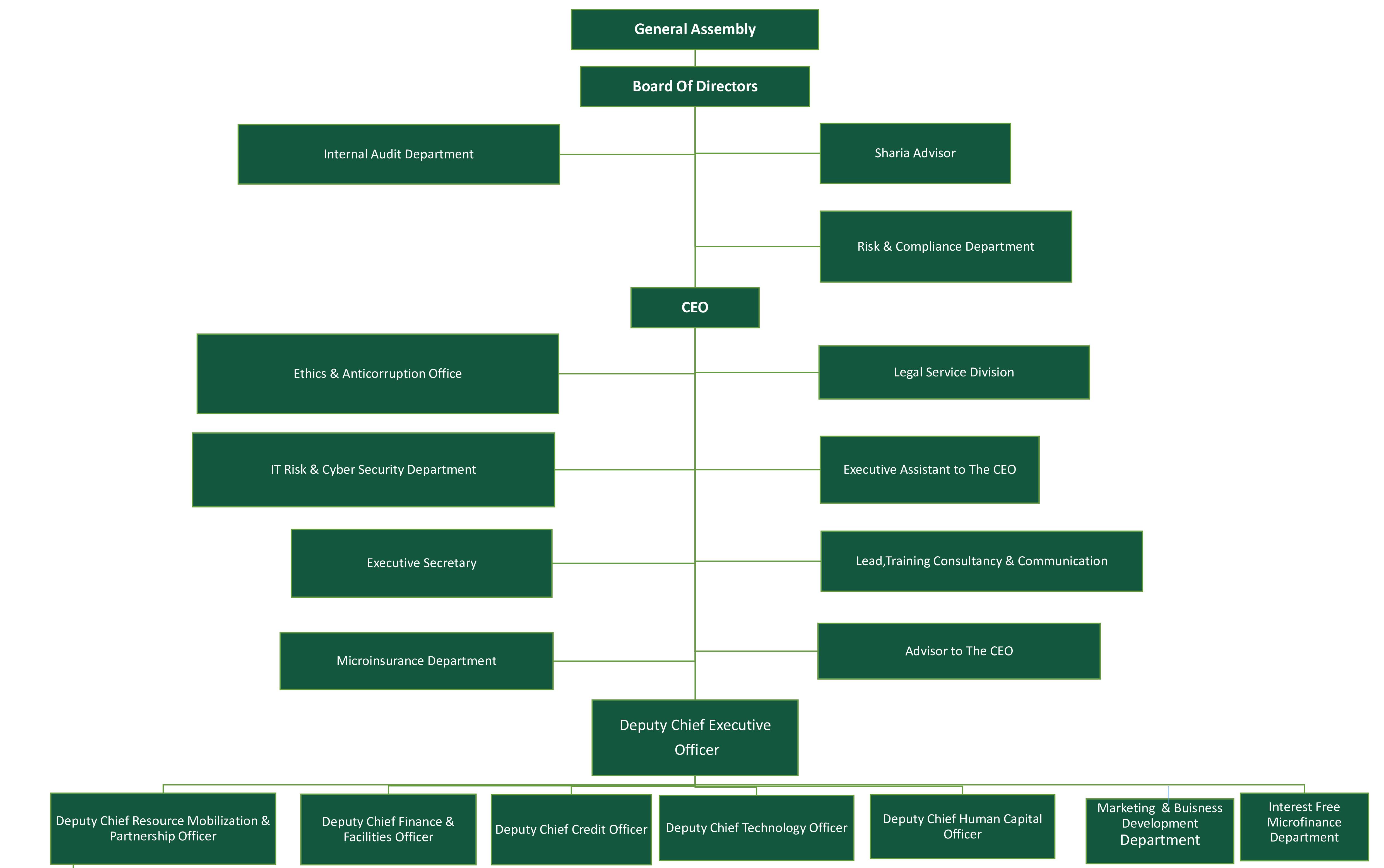 Company Organizational Structure