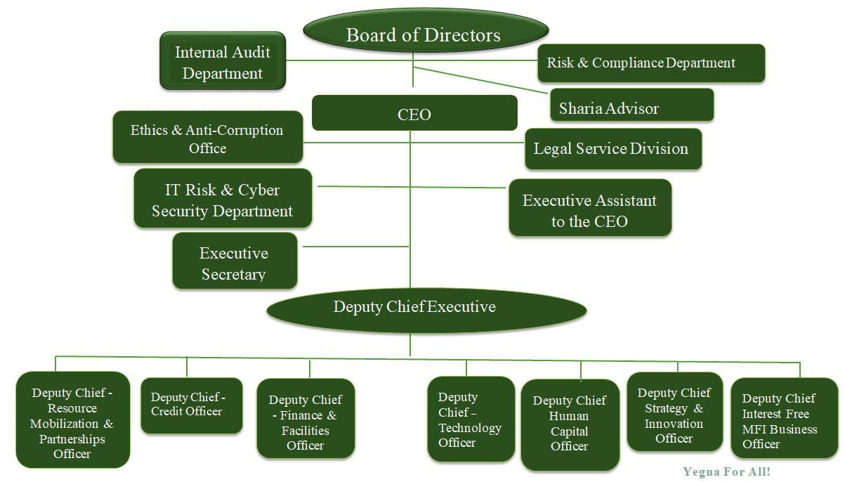Company Organizational Structure