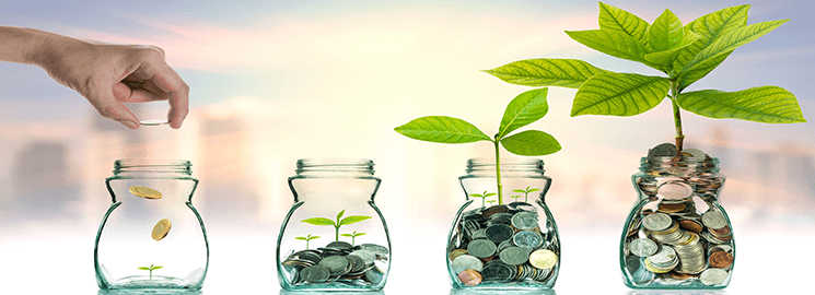 Individual Voluntary Saving Account