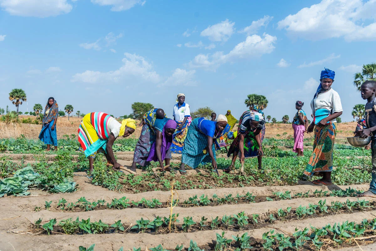 Refugee Livelihood and Inclusion Loan (YERLIL)
